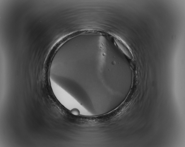 X0000086760975200705041445