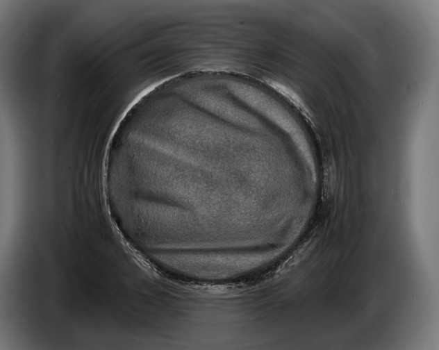 X0000086760976200705041445