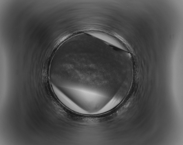 X0000086760977200705041445