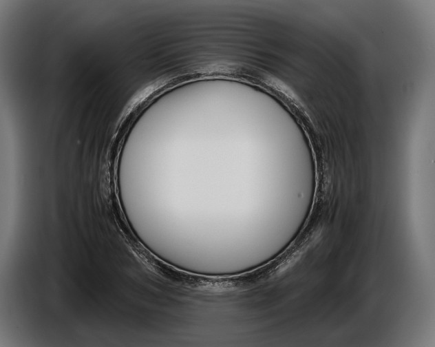 X0000086760978200705041445