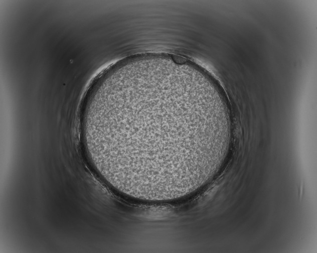 X0000086760979200705041445