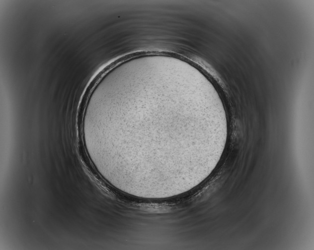 X0000086760980200705041445