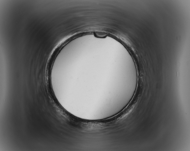 X0000086760981200705041445