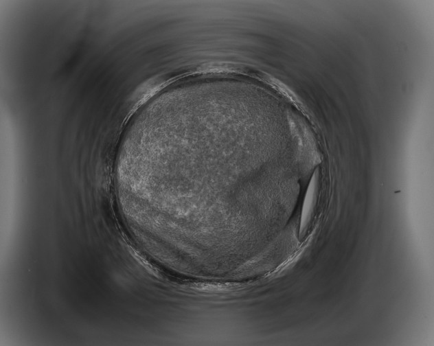 X0000086760985200705041444