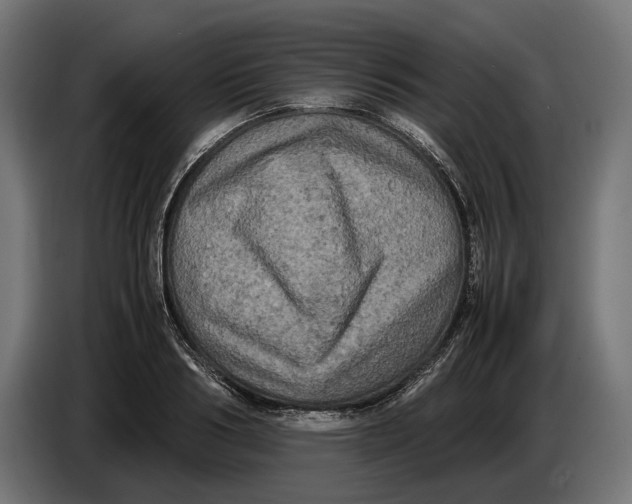 X0000086760986200705041444