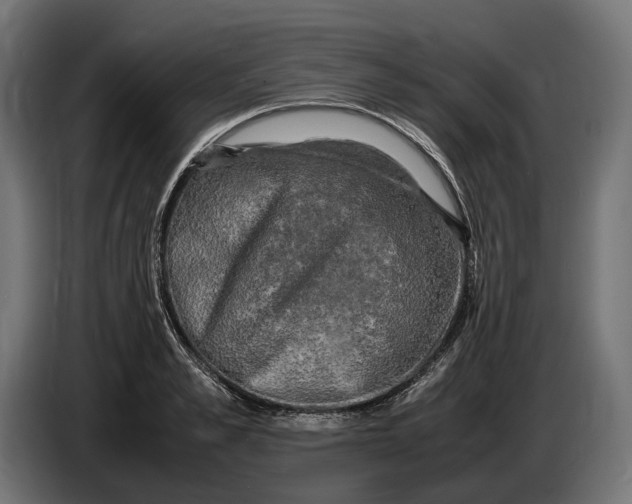 X0000086760989200705041444