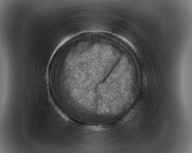 X0000086760990200705041444