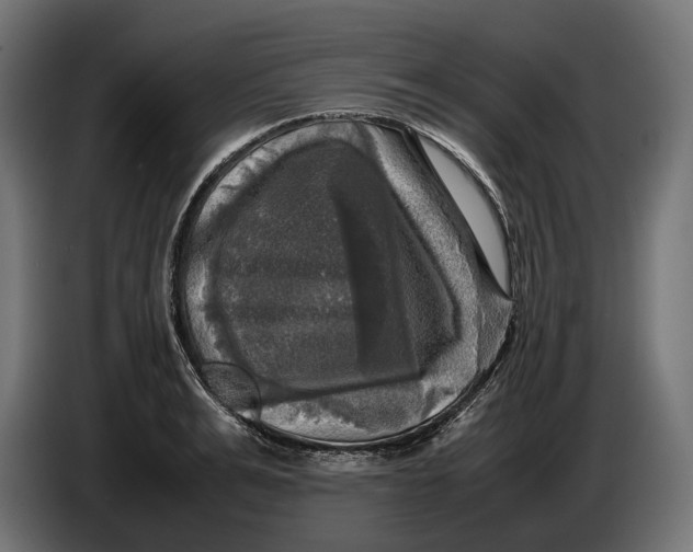 X0000086760991200705041444