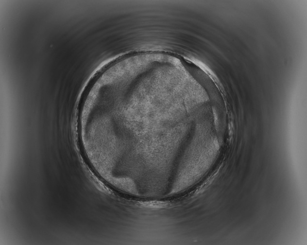 X0000086760992200705041444