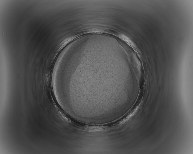 X0000086760993200705041444