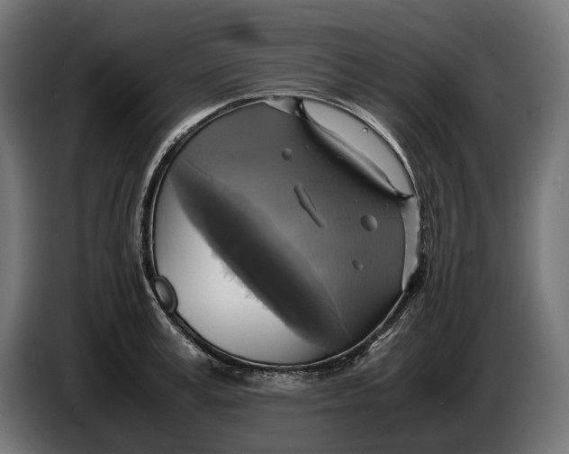 X0000086760995200705041444