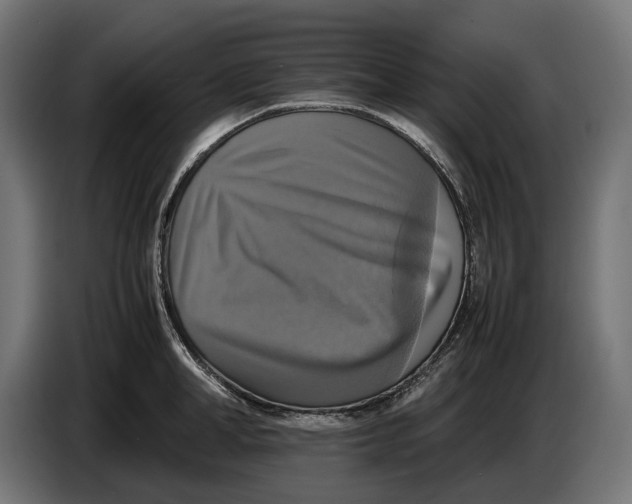 X0000086760998200705041444