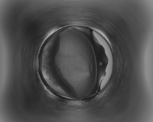 X0000086760999200705041444