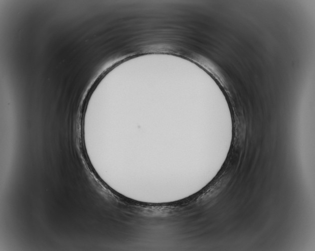 X0000086761000200705041444