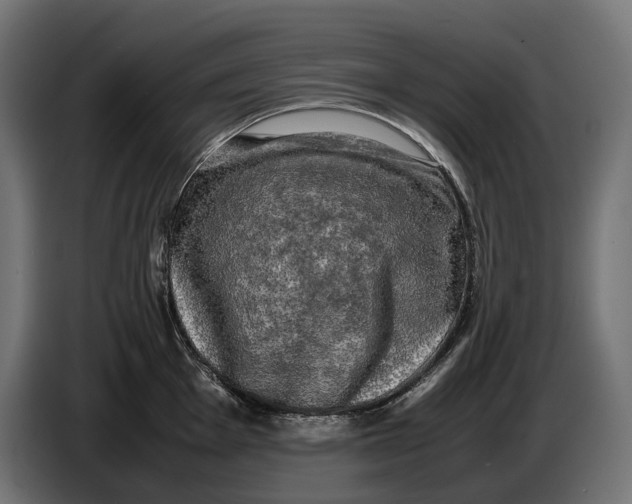 X0000086761001200705041444