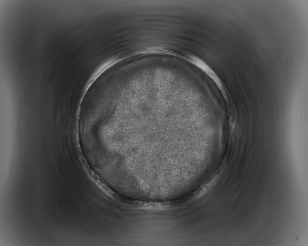 X0000086761002200705041444