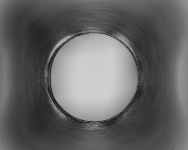 X0000086761003200705041444