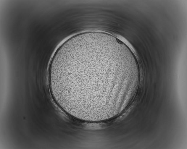 X0000086761004200705041444