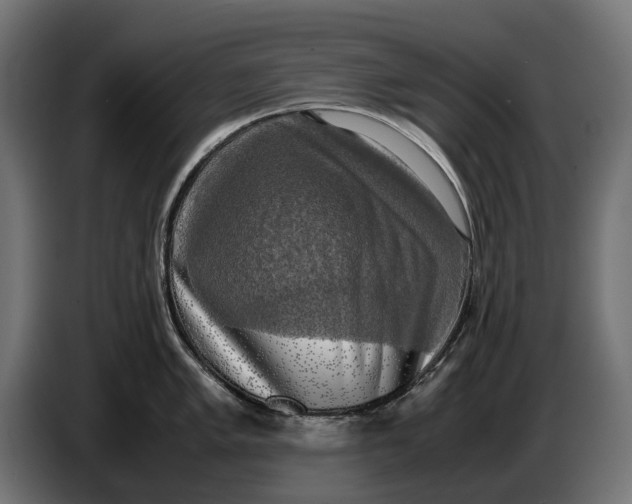 X0000086761005200705041444