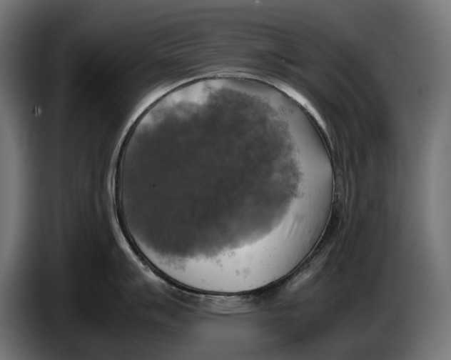 X0000086761007200705041444