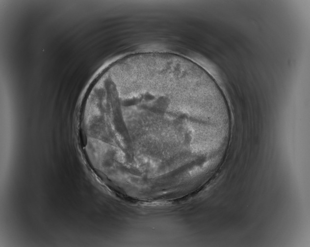 X0000086761008200705041444