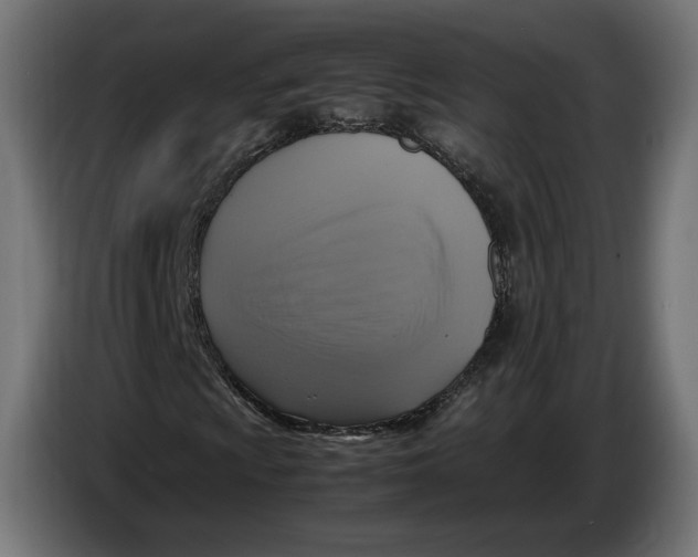 X0000086761009200705041444