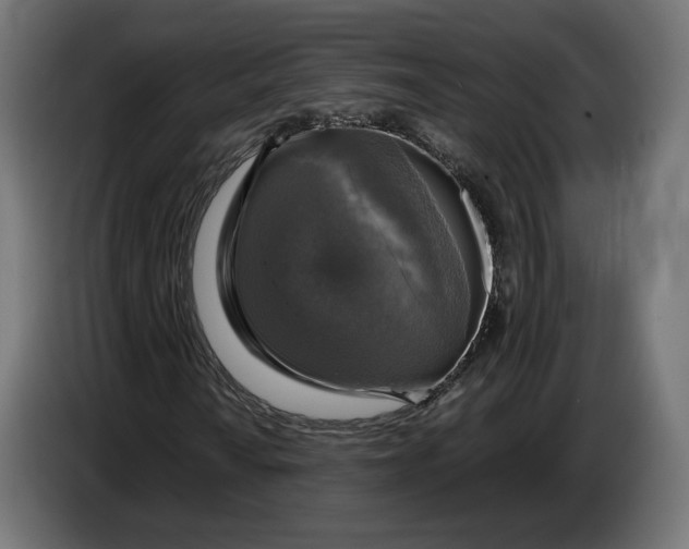 X0000086761010200705041444