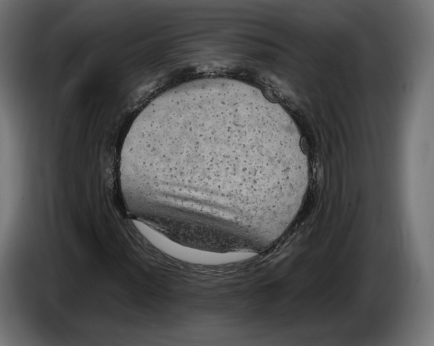 X0000086761012200705041444