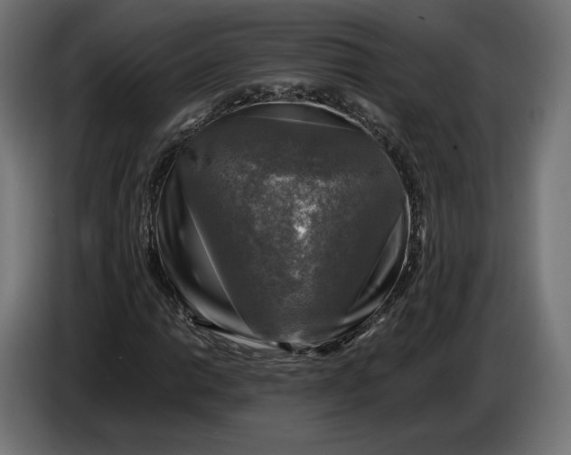 X0000086761014200705041444