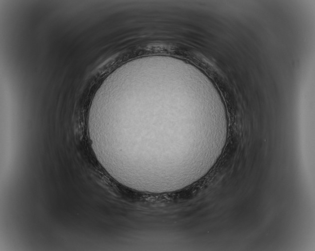 X0000086761015200705041444