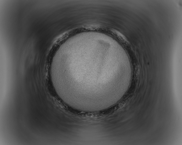 X0000086761016200705041444