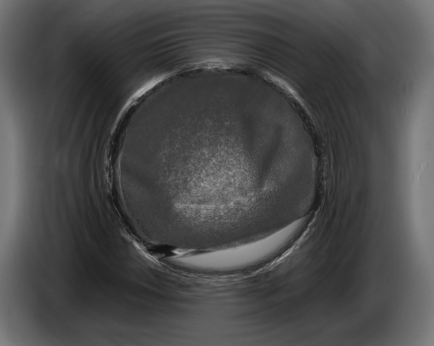 X0000086761018200705041444