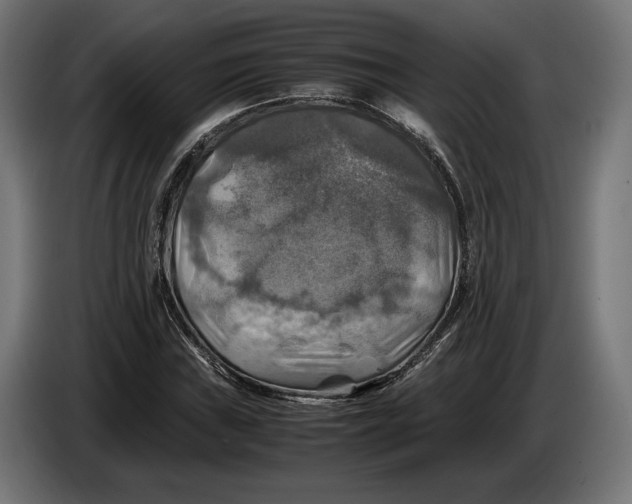 X0000086761019200705041444