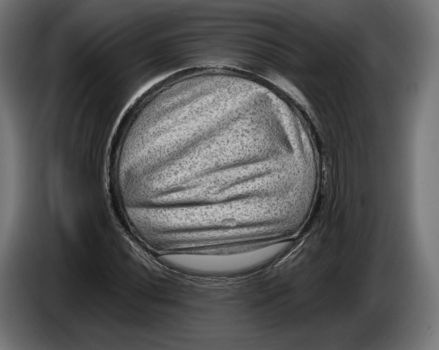 X0000086761020200705041444