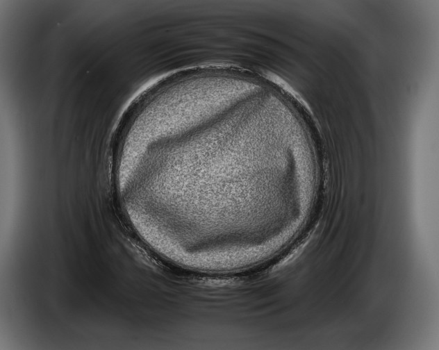 X0000086761021200705041444