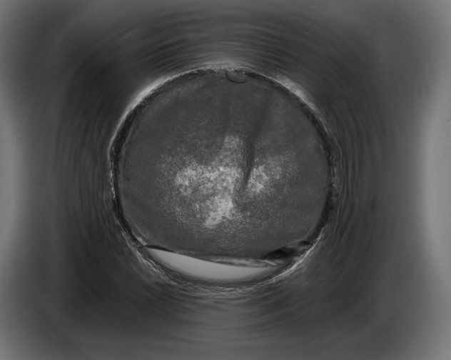 X0000086761022200705041444