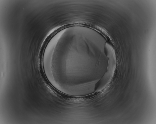 X0000086761024200705041444