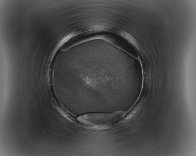 X0000086761026200705041444