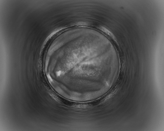 X0000086761027200705041444