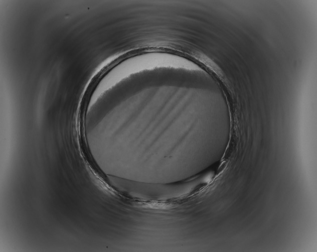 X0000086761028200705041444