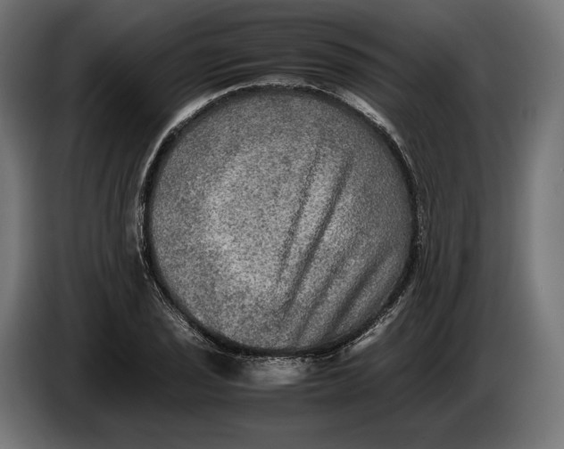 X0000086761029200705041444