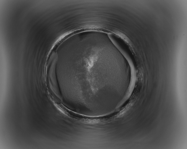 X0000086761030200705041444