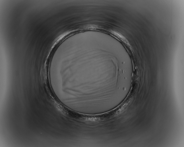 X0000086761031200705041444