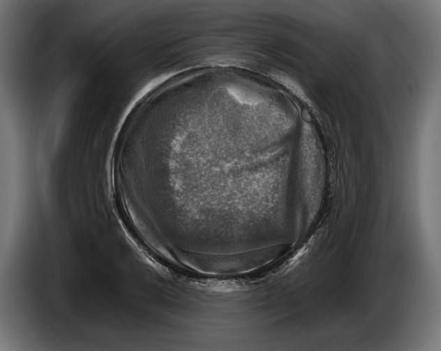 X0000086761032200705041444