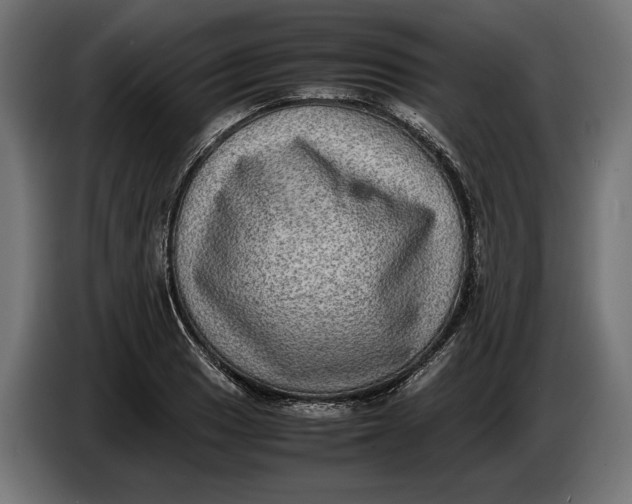 X0000086761033200705041444