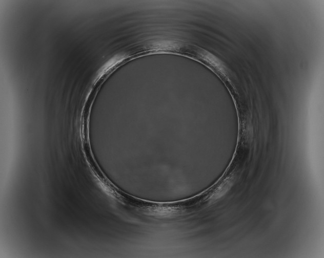 X0000086761034200705041444