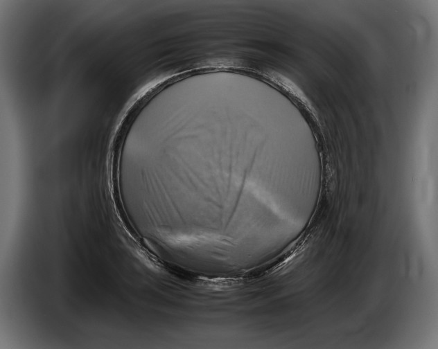 X0000086761035200705041444