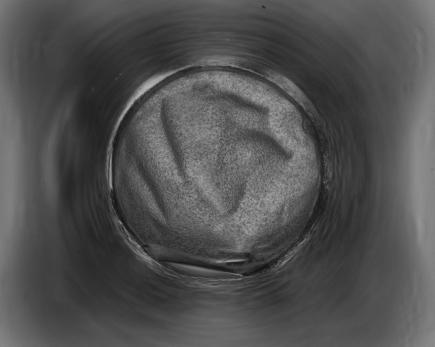 X0000086761036200705041444