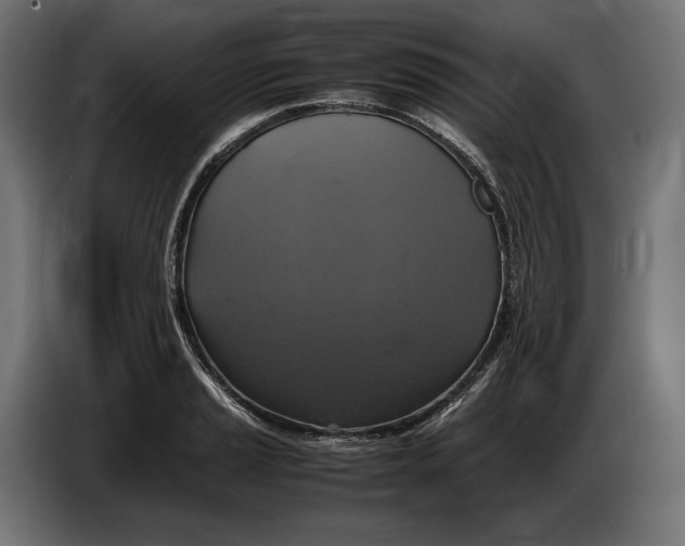 X0000086761037200705041444