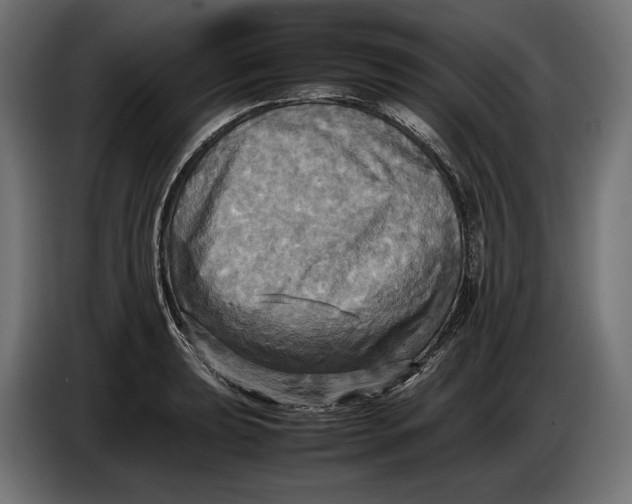 X0000086761039200705041444